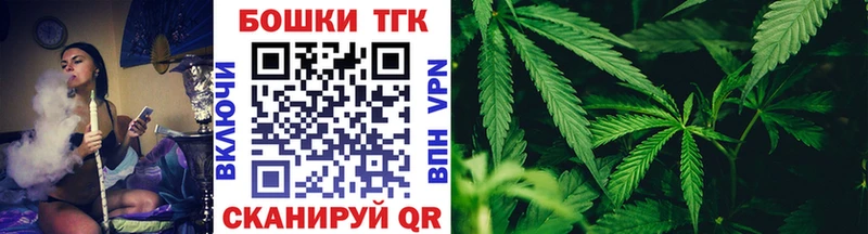 Где купить Пойковский Alpha-PVP  блэк спрут онион  Бошки Шишки  МЕФ  Бутират 