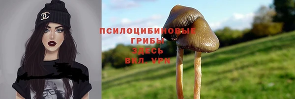твердый Балахна