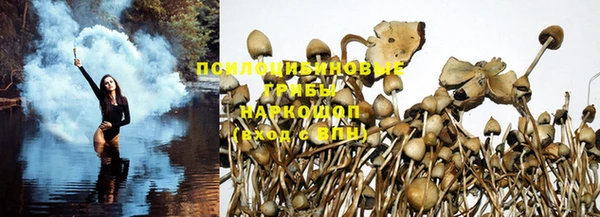 PSILOCYBIN Баксан