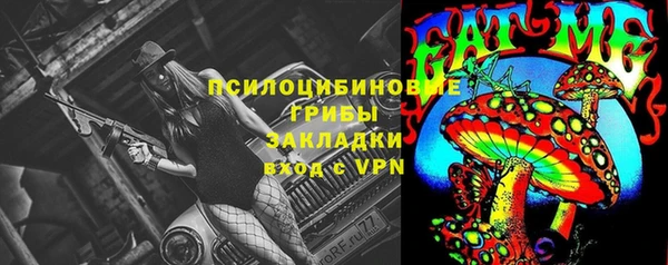 PSILOCYBIN Баксан